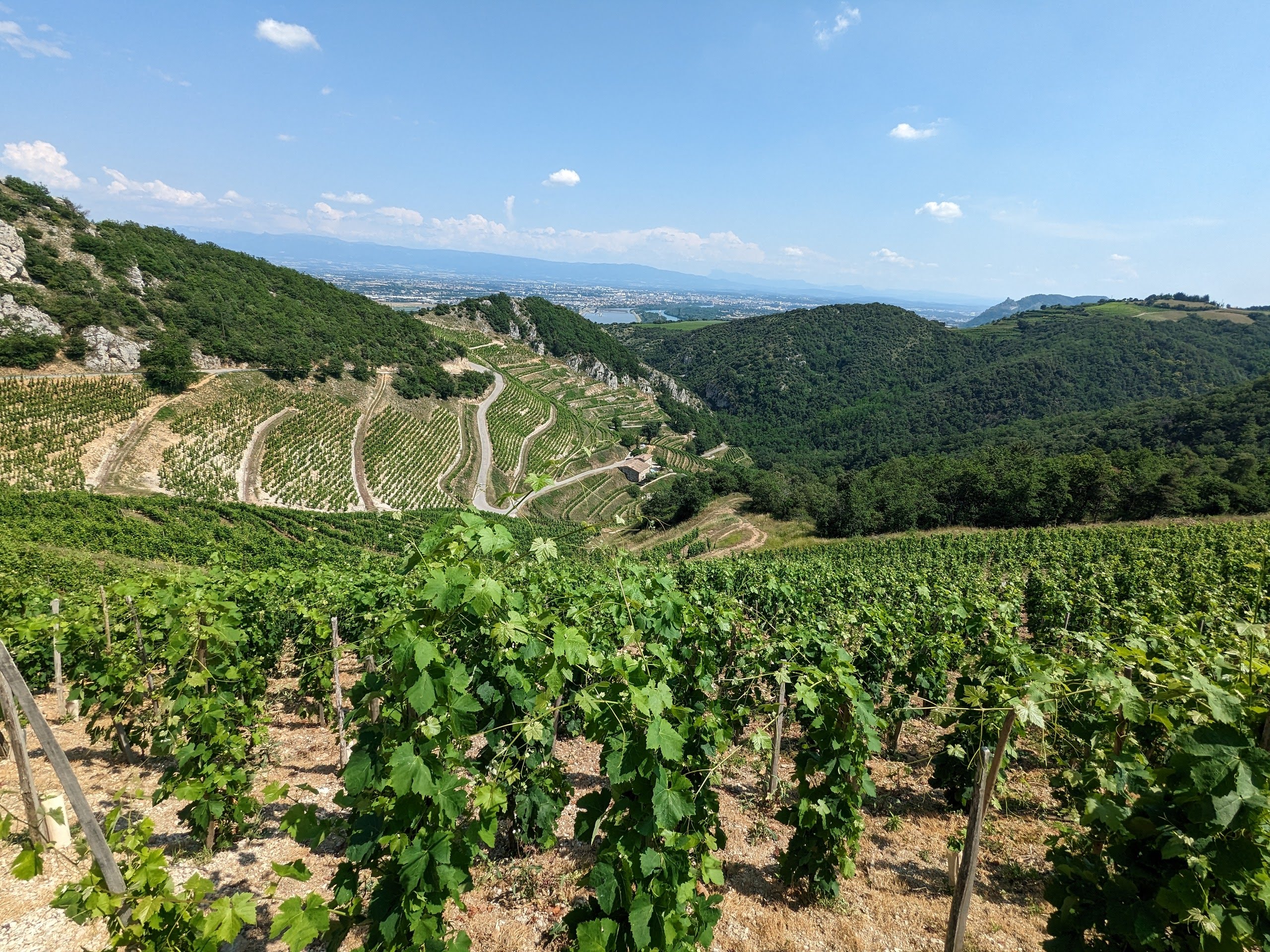 Les parcelles du Domaine Courbis