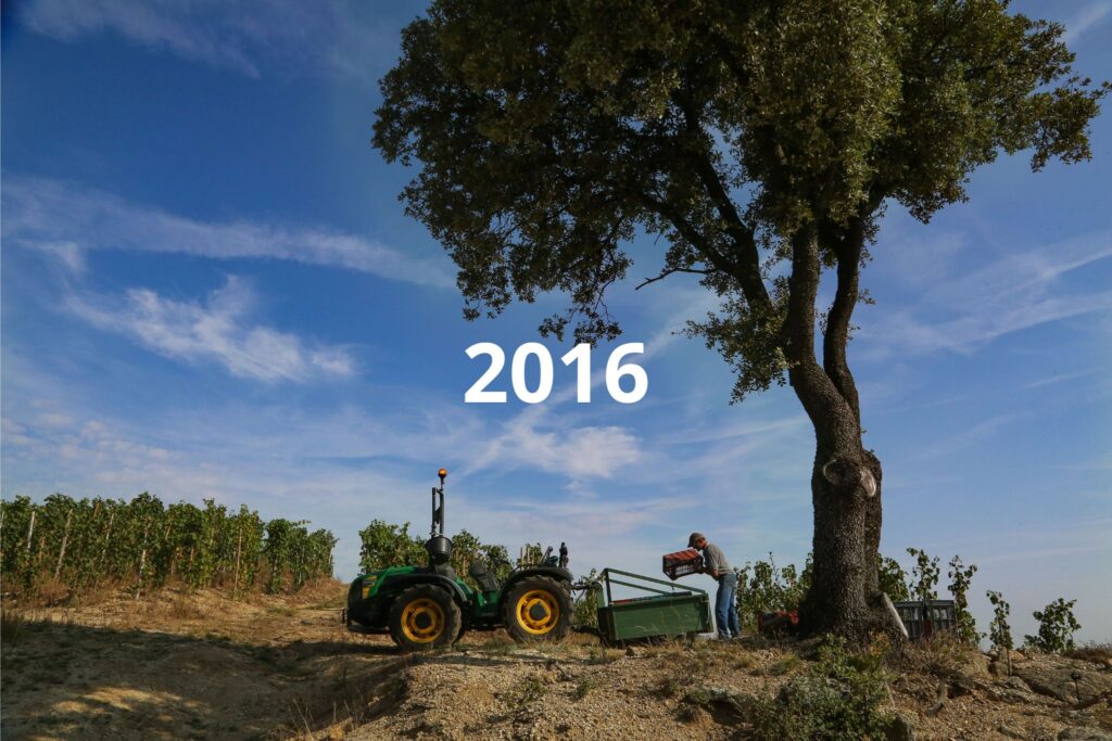 Tractoriste pendant les vendanges