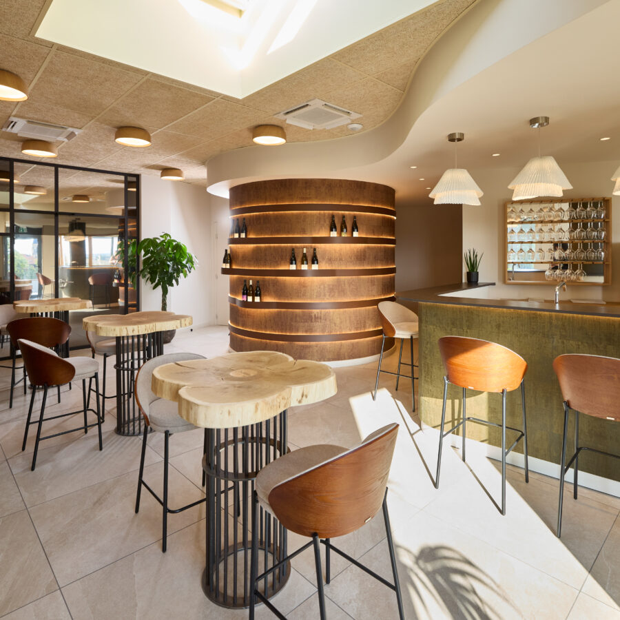 Visite guidée dans les vignes et la cave