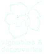VIGNOBLE ET DECOUVERTE